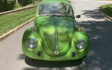 Volkswagen-Beetle-1977-Green-White-3