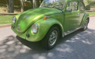 Volkswagen-Beetle-1977-Green-White