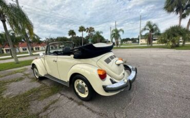 Volkswagen-Beetle-1977-White-Black-12