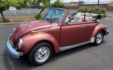 Volkswagen-Beetle-1978-11