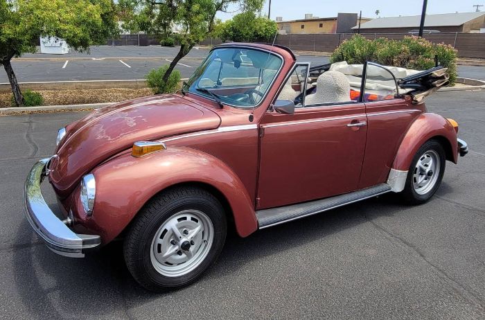 Volkswagen-Beetle-1978-11