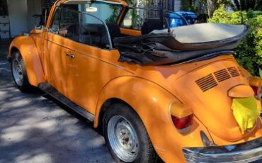 Volkswagen-Beetle-1978-12