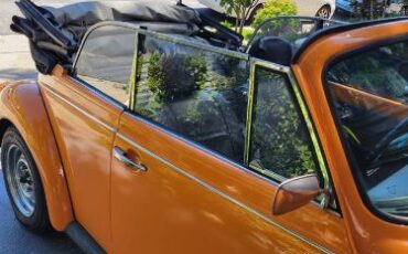 Volkswagen-Beetle-1978-13