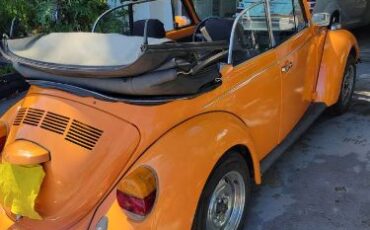 Volkswagen-Beetle-1978-15