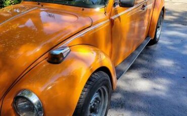 Volkswagen-Beetle-1978-16