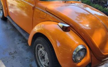 Volkswagen-Beetle-1978-18