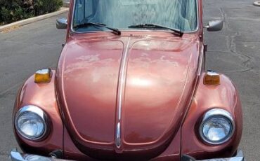 Volkswagen-Beetle-1978-2