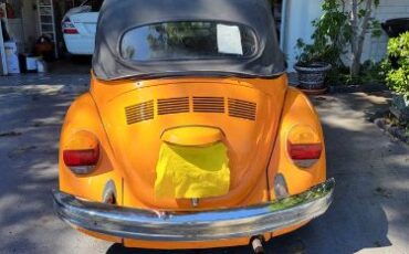 Volkswagen-Beetle-1978-3
