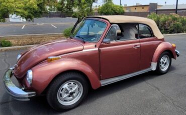 Volkswagen-Beetle-1978-3