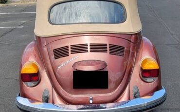 Volkswagen-Beetle-1978-6