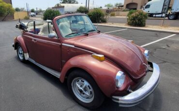 Volkswagen-Beetle-1978-8