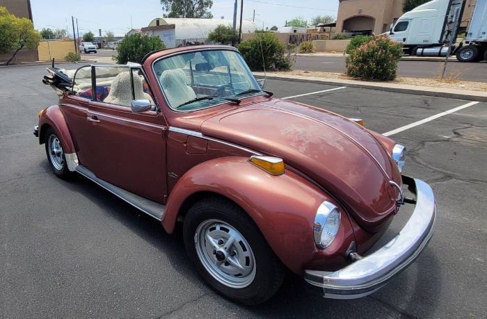 Volkswagen-Beetle-1978-8