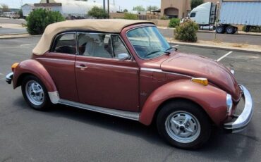 Volkswagen-Beetle-1978-9