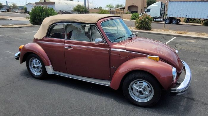 Volkswagen-Beetle-1978-9