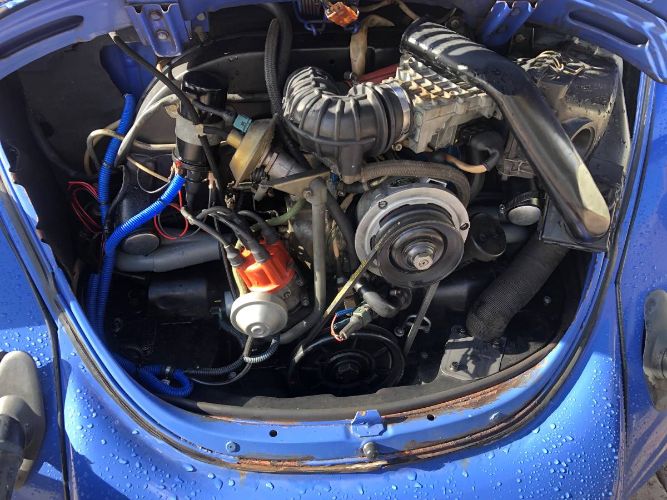 Volkswagen-Beetle-1978-Blue-1