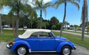 Volkswagen-Beetle-1978-Blue-White-21