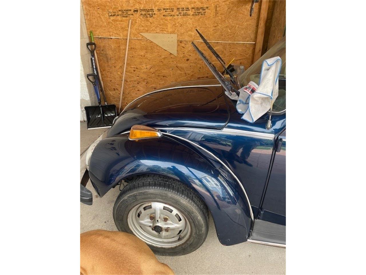 Volkswagen-Beetle-1978-Blue-White-3