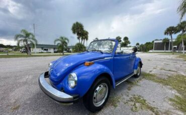 Volkswagen-Beetle-1978-Blue-White-32