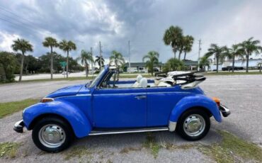 Volkswagen-Beetle-1978-Blue-White
