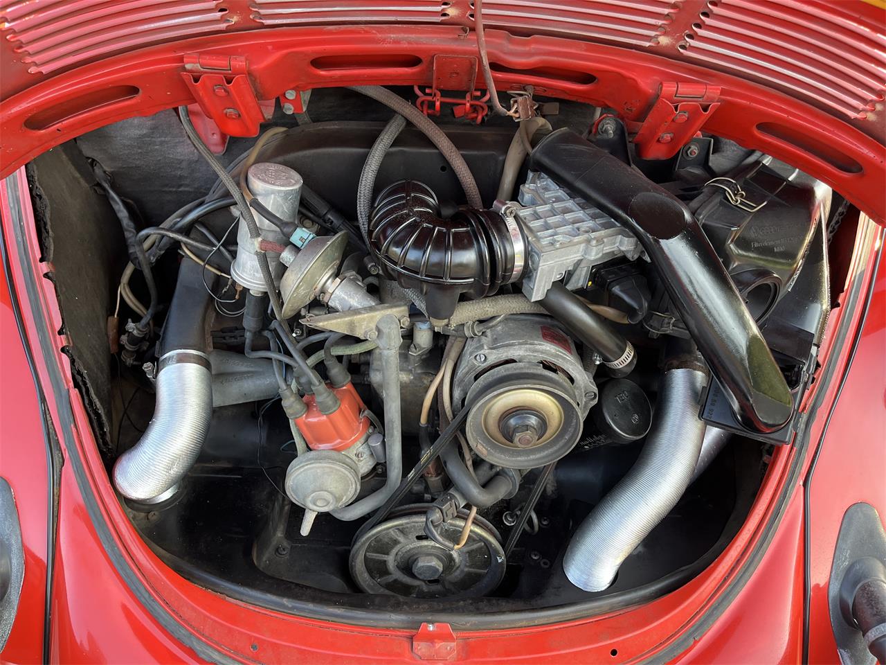 Volkswagen-Beetle-1978-Red-Black-3