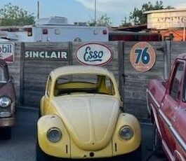 Volkswagen-Beetle-1979-1