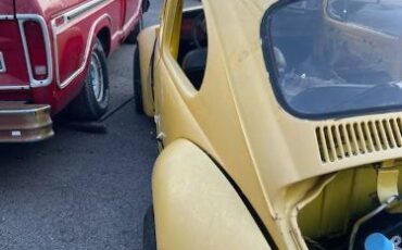 Volkswagen-Beetle-1979-3