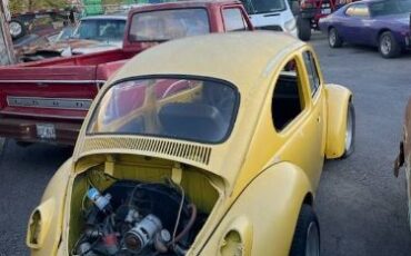 Volkswagen-Beetle-1979-4