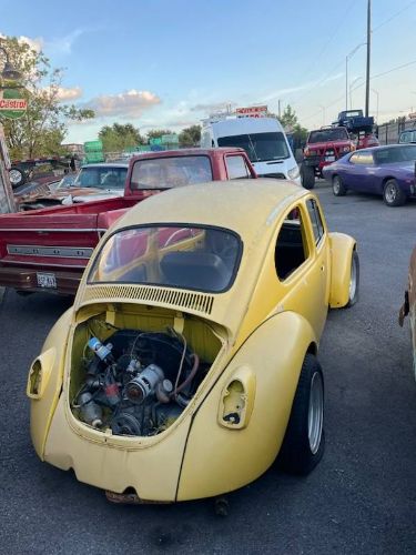 Volkswagen-Beetle-1979-4