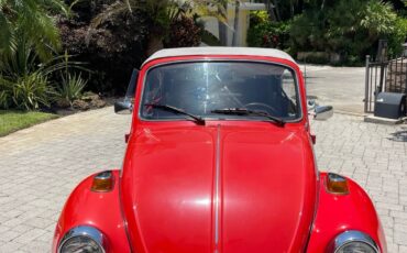 Volkswagen-Beetle-1979-4