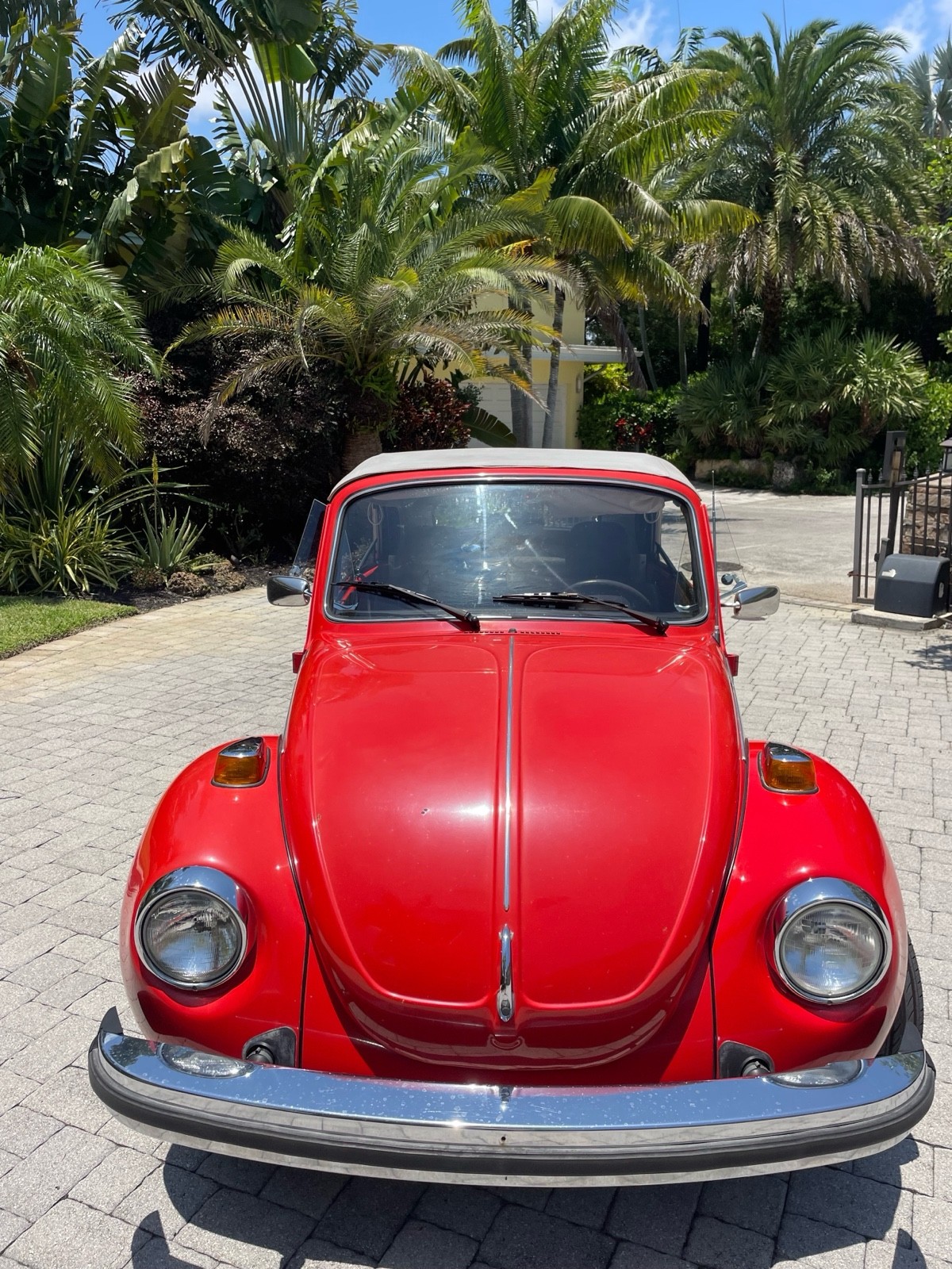 Volkswagen-Beetle-1979-4