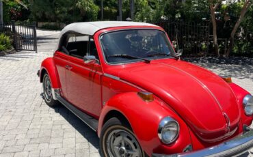 Volkswagen-Beetle-1979-5