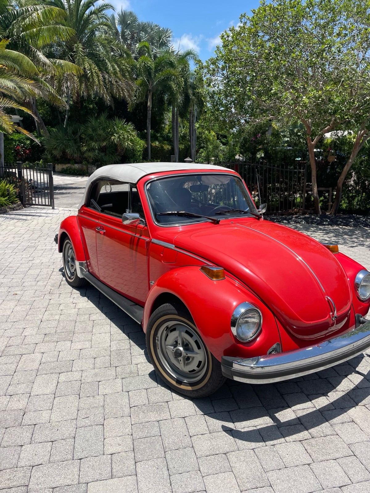 Volkswagen-Beetle-1979-5