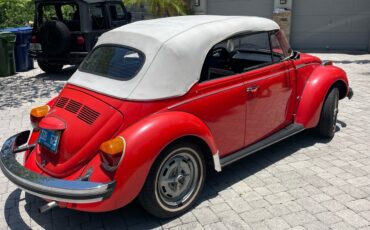 Volkswagen-Beetle-1979-6
