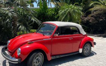 Volkswagen-Beetle-1979-7
