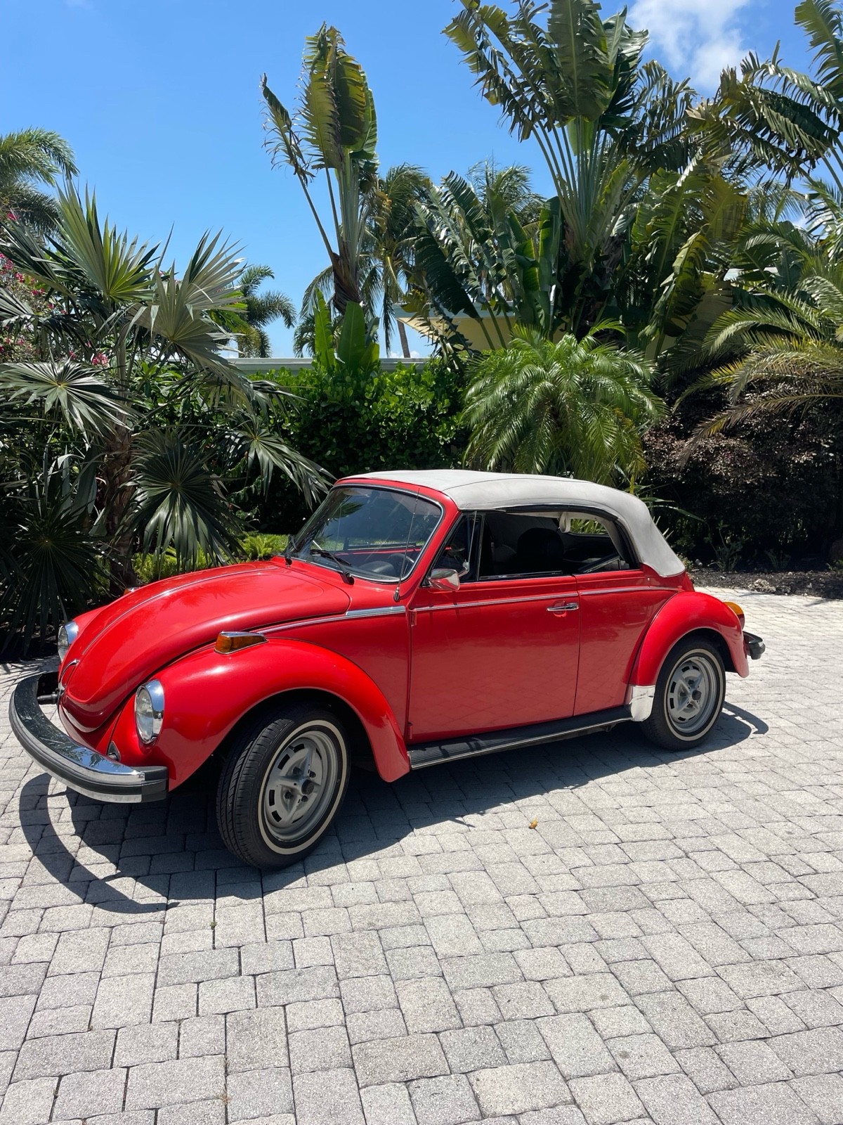 Volkswagen-Beetle-1979-7