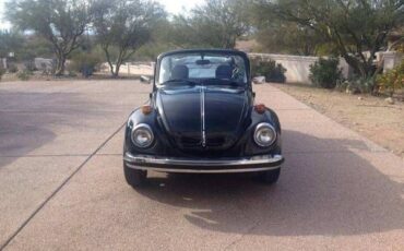 Volkswagen-Beetle-1979-Black-8