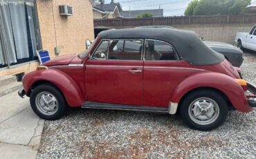 Volkswagen-Beetle-1979-Red-8