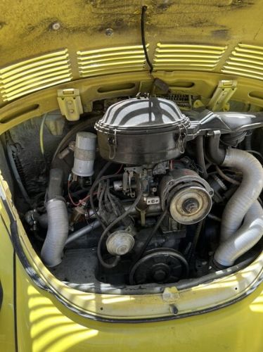 Volkswagen-Beetle-1979-Yellow-White-6