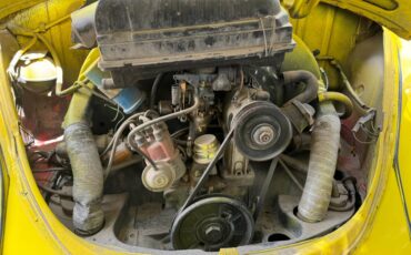 Volkswagen-Beetle-1984-yellow-8