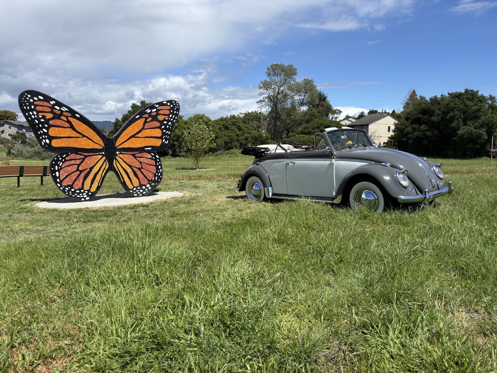 Volkswagen-Beetle-Classic-1962-Convertible-1