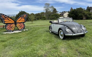 Volkswagen-Beetle-Classic-1962-Convertible-22