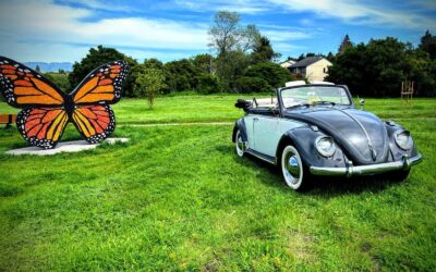 Volkswagen Beetle - Classic 1962 Convertible