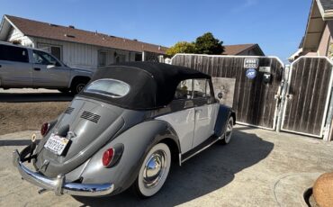 Volkswagen-Beetle-Classic-1962-Convertible-7