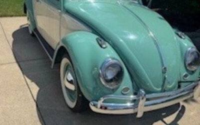 Volkswagen Beetle - Classic 1962 Coupe
