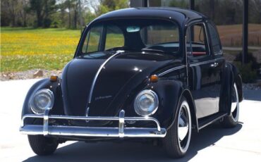Volkswagen-Beetle-Classic-1965-12