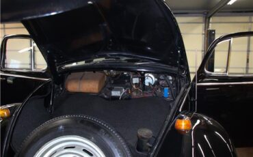 Volkswagen-Beetle-Classic-1965-19
