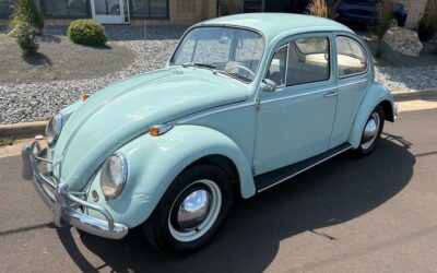 Volkswagen Beetle - Classic 1965 --
