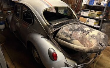 Volkswagen-Beetle-Classic-1966-Sedan-21