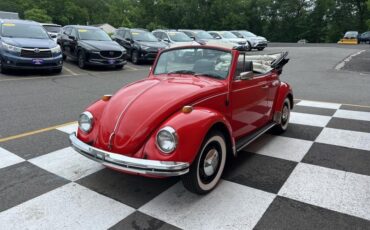 Volkswagen-Beetle-Classic-1969-Convertible-13