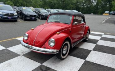 Volkswagen-Beetle-Classic-1969-Convertible-15